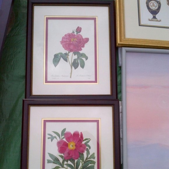 PAIR OF BOTANICAL PRINTS WITH ROSE-COLORED FLOWERS IN TRIPLE-MAT MAHOGANY FRAMES - Picture 3 of 4